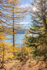 Fototapeta premium Tzeusier