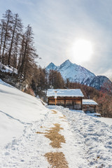 Arolla