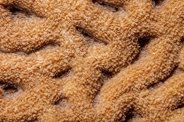 Coral reefs are built from stony corals, which in turn consist of polyps for education in nature.