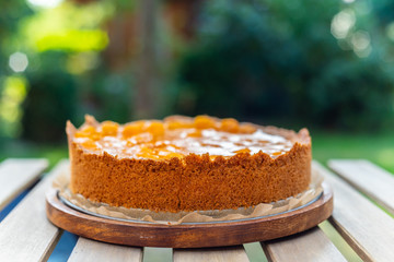 a homemade sour cream mandarin cake