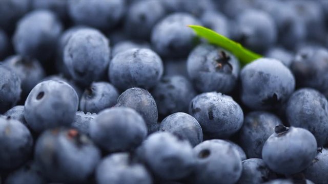 Blueberry. Ripe and juicy fresh picked blueberries background, closeup. Rotation. Slow motion 4K UHD video footage. 3840X2160