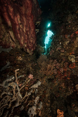Underwater view through a hole to the surface