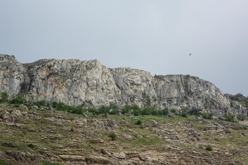 Bird flying next to a mountain