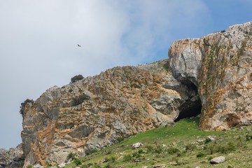 Mountain with cave and a flying bird
