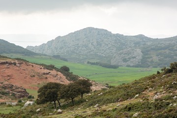 Obraz premium Spanish landscape with hill and trees