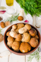 Fresh forest white mushrooms in a bowl with spices and fresh herbs on a wooden background