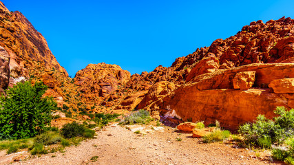 View of the rugged Red Sandstone Rocks on the Trail to the Guardian Angel Peak in Red Rock Canyon National Conservation Area near Las Vegas, Nevada, USA