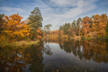 Fototapeta na wymiar Colorful autumn trees by the lake. Nature