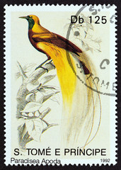 Greater bird-of-paradise, Paradisaea apoda (Sao Tome and Principe 1992)