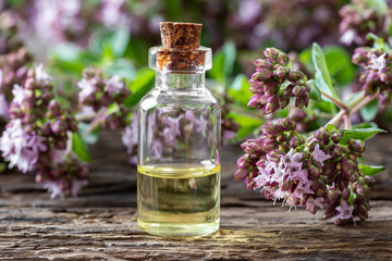 A bottle of essential oil with blooming oregano twigs