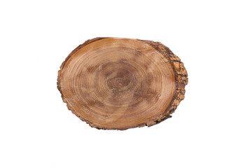 Obraz premium Cross section of tree trunk showing growth rings