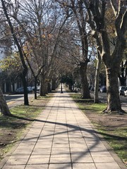 alley in the park