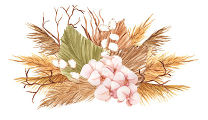 Bouquet with pampas grass, watercolor hand draw floral element in boho style, isolated on white background