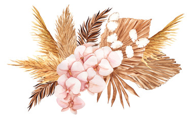 Bouquet with pampas grass, watercolor hand draw floral element in boho style, isolated on white background - obrazy, fototapety, plakaty