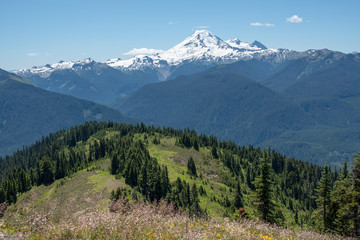 Obraz premium Snowcapped Mount Baker from High Divide, Washington State