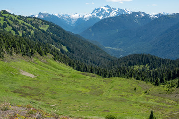 Fototapeta na wymiar Mount Shuksan from High Divide, green meadows and ridges, Washington