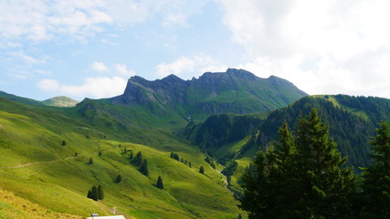 Naklejka na ściany i meble Swiss alps, Grindelwald 