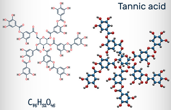 Tannic acid, tannin molecule. It type of polyphenol. Structural chemical formula and molecule model
