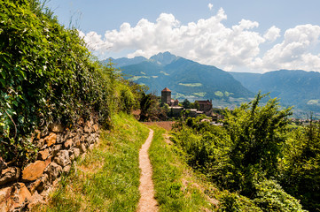 Dorf Tirol, Schloss Tirol, Herrschaftsweg, Waalweg, Vinschgau, Weinberge, Steinmauer, Südtirol, Sommer, Italien
