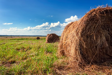 Ranches of hay in a meadow. Summer rural landscape with a field and hay.