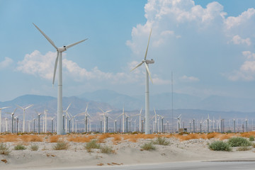 Fototapeta na wymiar Wind turbines in a field in Southwest California.