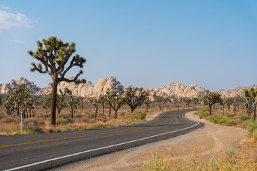 Road going through Joshua Tree National Park in California. 