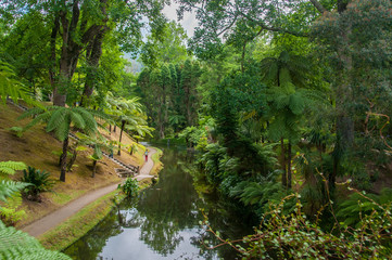 Fototapeta na wymiar Terra Nostra Park in the Azores is a large botanical garden with a huge variety of plants and trees and with lakes, streams and a pool of volcanic origin.