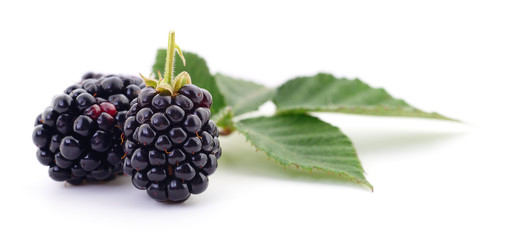 Closeup shot of fresh blackberries.
