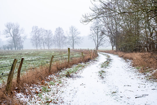 Weg mit Koppelzaun