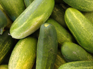 Cucumbers at Farmers Market