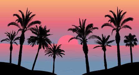 Fototapeta na wymiar Sunset in the sea, silhouettes of palm trees on the beach. Vector illustration.