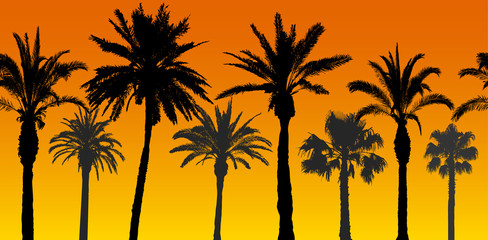 Fototapeta na wymiar Seamless pattern of palm trees silhouettes at sunrise, vector illustration