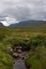 Naklejka na ściany i meble Scottish green landscape