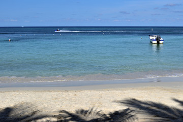 beautiful sea from the beach
