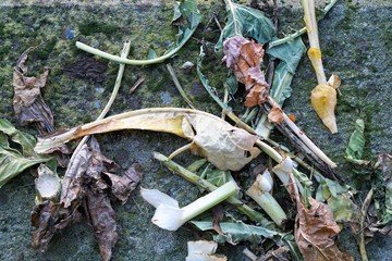 leaves and vegetables