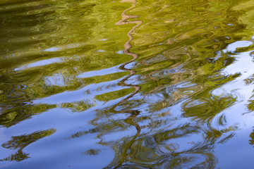 blurred water ripple reflection of a lake in a lush forest