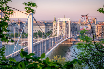 Budapest, Hungary View of Liberty Bridge from Gellérthegy