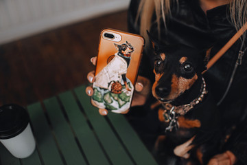 The dog and her portrait on the phone case - obrazy, fototapety, plakaty