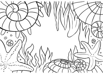 Under water, composition with shells, starfics and  seaweed - frame for text