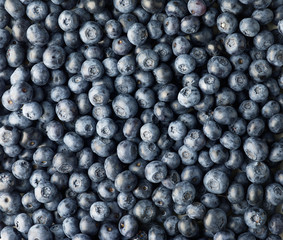background of fresh blueberries