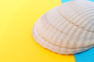 Obraz na płótnie Canvas A light pink seashell on a yellow and blue background. Items related to travel and tourism. Close-up. Shallow depth of field