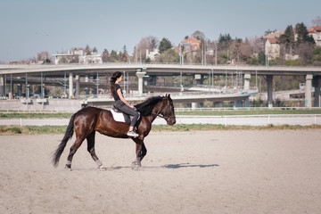 Young jockey woman horsebacking