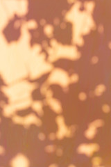 Orange painted surface on which reflects a fancy shadow of grape leaves and sun glare, background, texture, concept of a summer day