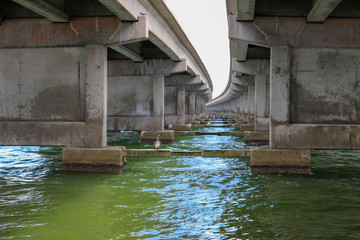 under bridge view where the pelicans hide