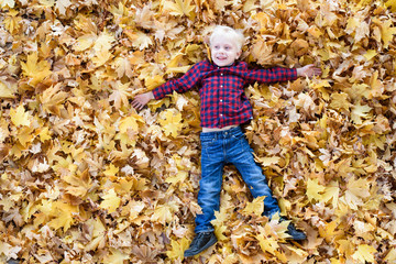 Blond boy in a plaid shirt lies in yellow autumn leaves. Top view. Autumn concept