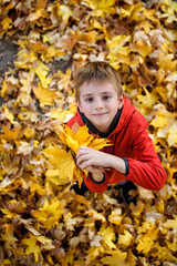 Cute boy with a bouquet of autumn leaves stands and looks up. Top view. Autumn concept