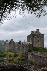 A castle next to water against a white sky with flying birds around it