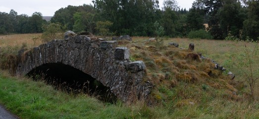 Ancient stone bridge with grass on top of it