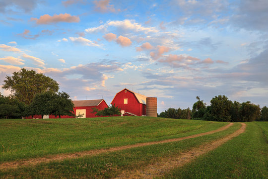 Evening at the Farm