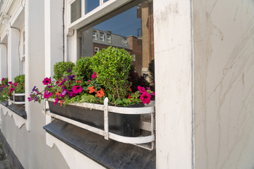 Fototapeta na wymiar European window sill flower pots with shallow depth of fiels and white space on the right